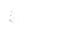 ДВФУ