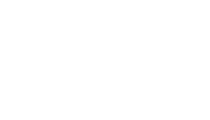 ДЕМИДОВСКИЙ УНИВЕРСИТЕТ