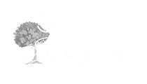 ЭКОЛОГИИЯ И БИЗНЕС