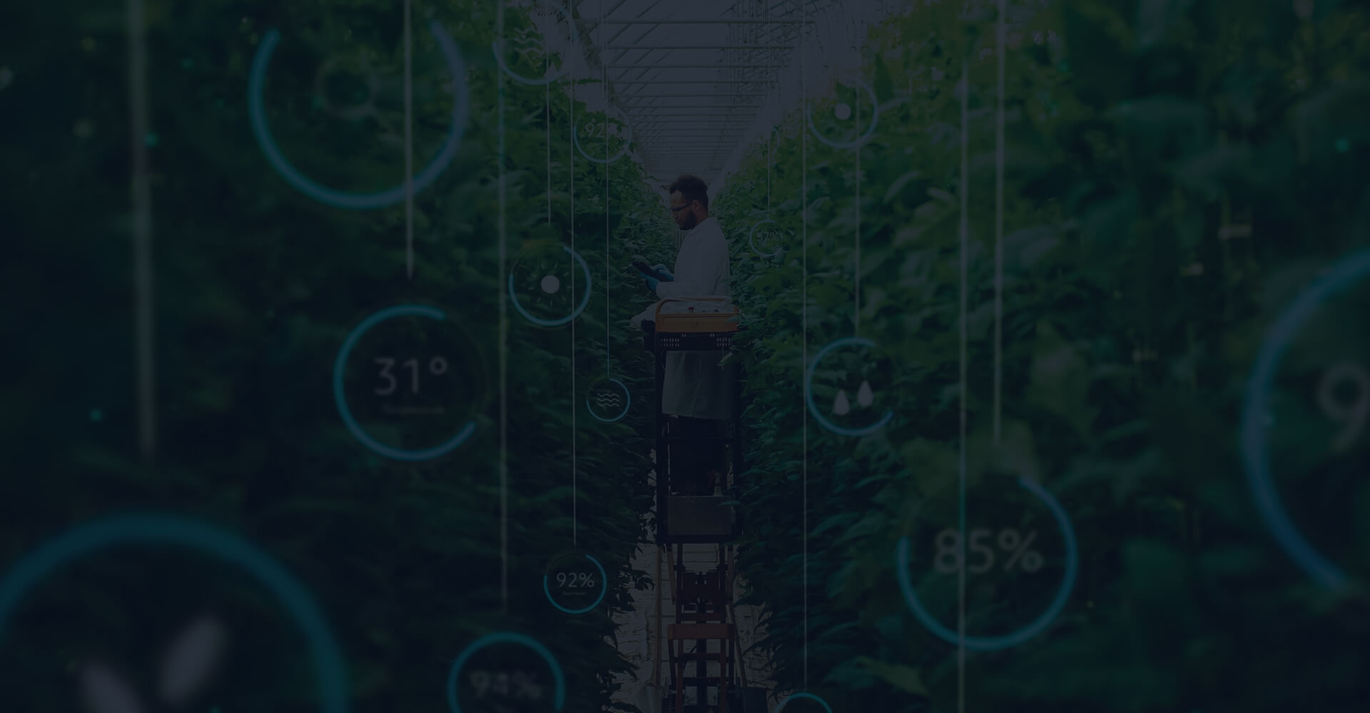 Фоновое изображение